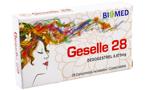 Geselle 28